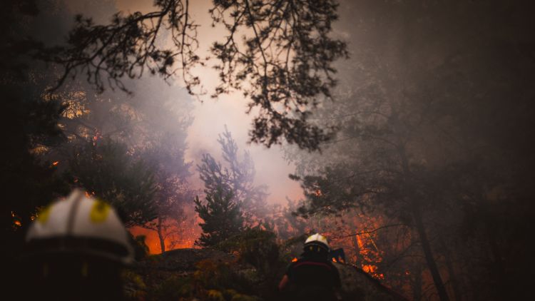 144d7d69-14a8-49c7-98be-3453f4637dff Deux Suspects Placés en Détention Provisoire pour Incendies à Fontainebleau