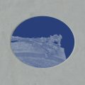 Ci-gisent les bêtes : Chronique sur les concessions pour animaux