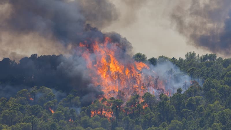 1bfcd2dd-d01d-4b13-8b6b-f62250972eb9 Feu dans le Var : Lutte continue et espoir de stabilisation