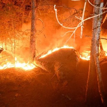 1c89f329-ac56-464f-94ab-d7283701811e Les incendies de Fontainebleau fixés après 48 heures de combat