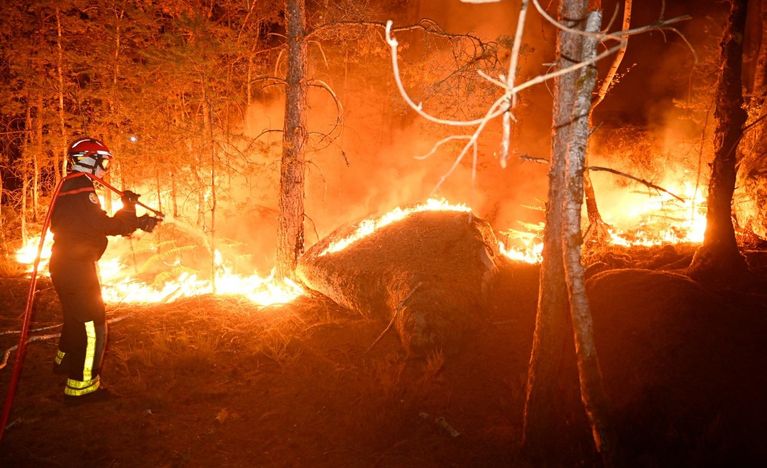 1c89f329-ac56-464f-94ab-d7283701811e Les incendies de Fontainebleau fixés après 48 heures de combat