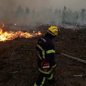 25e17d8e-afa5-4647-bd35-e3d45b2cc0c3 La Gironde face aux incendies et à la canicule