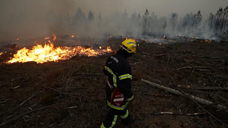 25e17d8e-afa5-4647-bd35-e3d45b2cc0c3 La Gironde face aux incendies et à la canicule