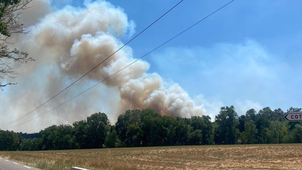 2775dc5e-ded0-4e1f-854f-97cea60c5694 Incendies en France : situation critique en Gironde et dans le Var