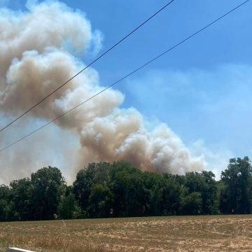 Incendies en France : situation critique en Gironde et dans le Var
