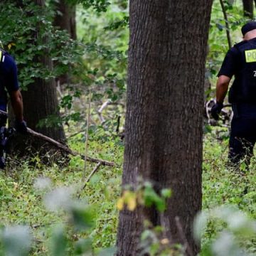Attaque à Berlin : Le suspect tué par la police