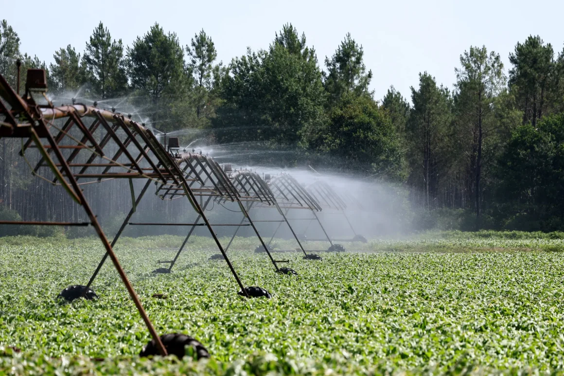 2f2c0141-a50d-4020-ad92-9910d5f0e948 Réforme de la gouvernance de l’eau pour l’agriculture