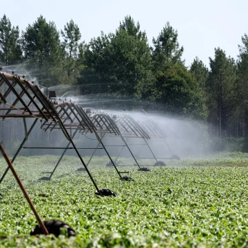 Réforme de la gouvernance de l&rsquo;eau pour l&rsquo;agriculture