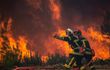 Incendies et canicule en France : une situation préoccupante