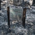 Le défi de la préservation des écosystèmes en Seine-et-Marne après les incendies