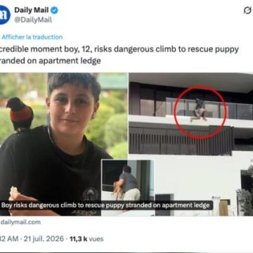 33e043cd-cfa2-447c-abd4-12b4f4bb8c1b Un garçon de 12 ans sauve un chien en escaladant un immeuble en Australie
