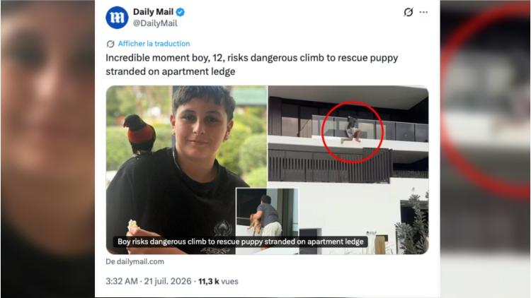 33e043cd-cfa2-447c-abd4-12b4f4bb8c1b Un garçon de 12 ans sauve un chien en escaladant un immeuble en Australie