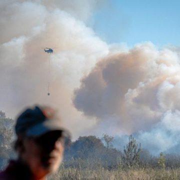 Un incendie ravage 540 hectares dans le Gard