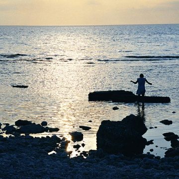 39f82b7d-2929-4420-8c1b-b49a91d8b9ef L’île de Fårö : Un héritage cinématographique et familial
