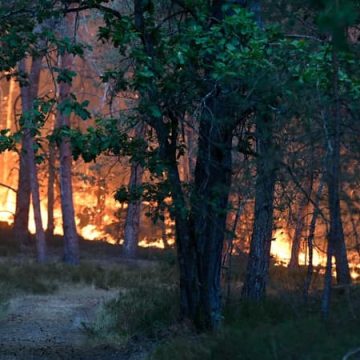 Mise en examen de deux ouvriers pour l&rsquo;incendie de Fontainebleau