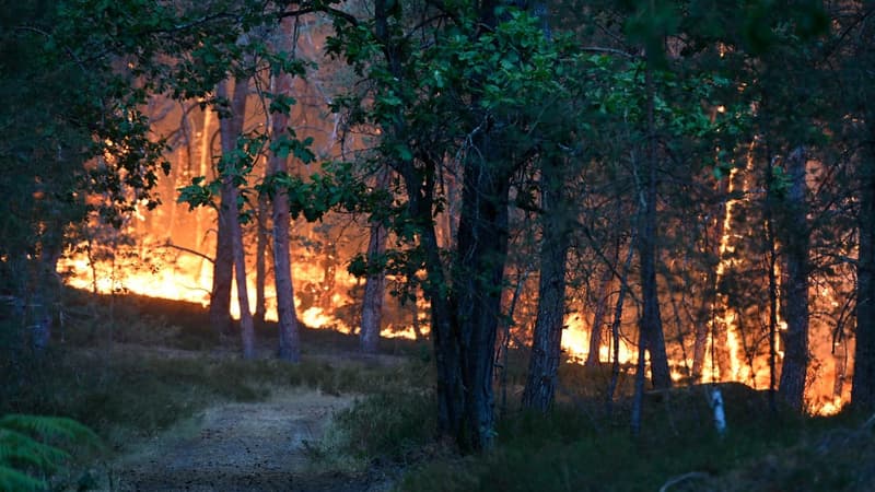 3a7241ff-e284-42c3-971b-e7e59e01d009 Mise en examen de deux ouvriers pour l’incendie de Fontainebleau