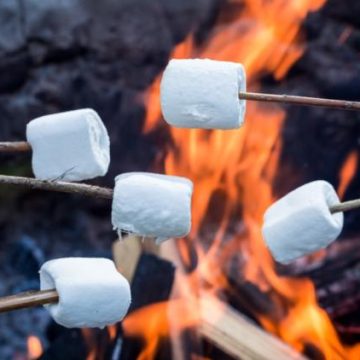 Une tragédie lors d&rsquo;un barbecue en Australie