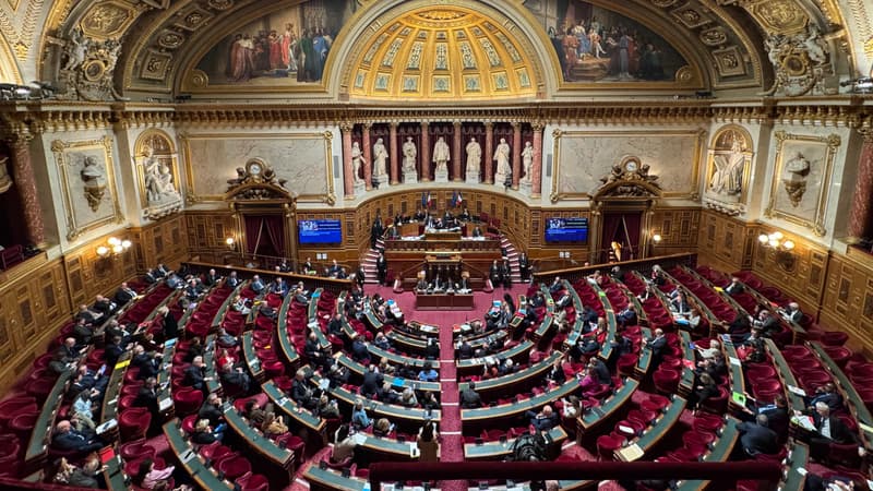 3c1f05e1-323e-4e01-90b8-19d90a6ecd8c La sanction rarissime au Sénat contre la sénatrice Christine Herzog