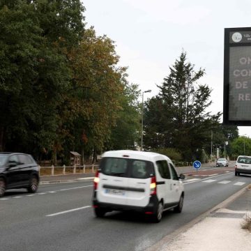 Mesures de réintégration après les incendies en Gironde