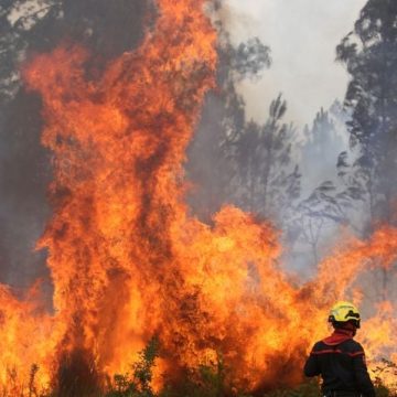 Incendie en Gironde : Un phénomène sans précédent