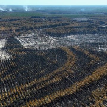 42de904c-dbd4-4fce-9ae7-2d1555ccffa0 Incendies massifs en France et en Europe : un point sur la situation