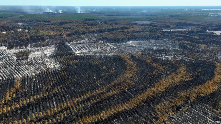 42de904c-dbd4-4fce-9ae7-2d1555ccffa0 Incendies massifs en France et en Europe : un point sur la situation