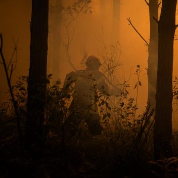 494300e4-ae0b-41f8-88f2-e0f9b37d45f8 Incendies en France : Etat des lieux et actions