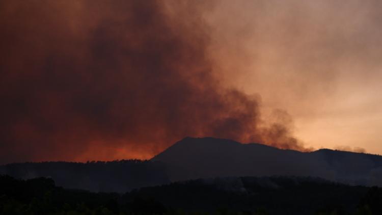 49c82ddb-b9fc-4b68-9443-63dc8198c5d2 Feux de forêt dans le Var : une situation toujours critique
