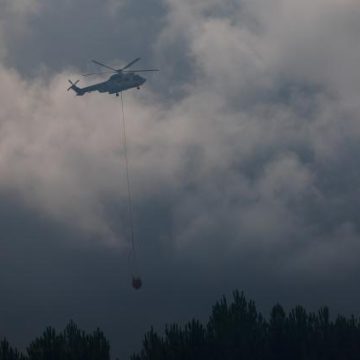 Les émissions de carbone dues aux incendies en France atteignent des sommets
