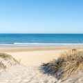 Règles de Collecte sur les Plages : Ce que Vous Devez Savoir