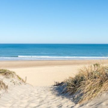 4f51e4ec-991c-479e-9638-d30d415aa1e9 Règles de Collecte sur les Plages : Ce que Vous Devez Savoir