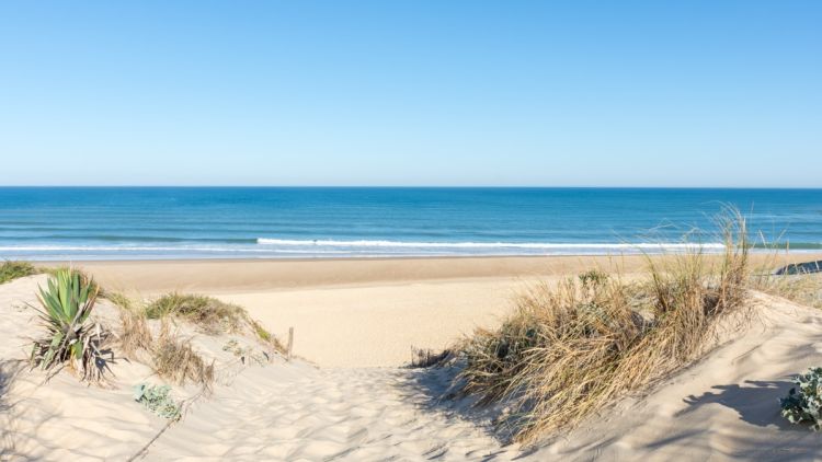 4f51e4ec-991c-479e-9638-d30d415aa1e9 Règles de Collecte sur les Plages : Ce que Vous Devez Savoir