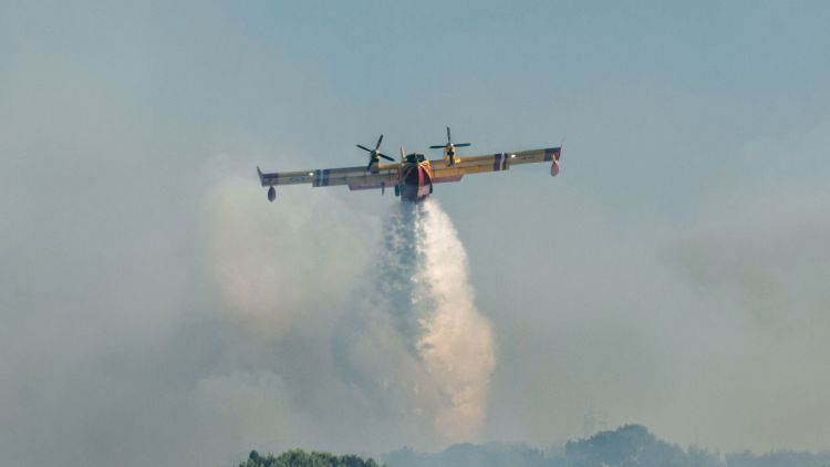 504629d1-56dd-4995-a009-a3005c68cf09 Incendie dans les Pyrénées-Orientales : une lutte intense
