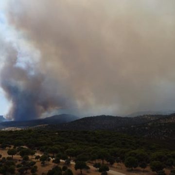 52f7ab1a-2234-4bd1-a4b6-02862431cf77 Évacuations en Espagne en raison d’incendies incontrôlés