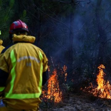 58d8ced8-0310-4e73-929a-ac7b58e64f75 Les dangers du «tourisme des incendies» en Gironde