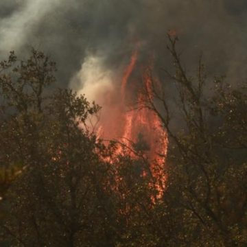 Un homme jugé pour incendie volontaire à Ollioules