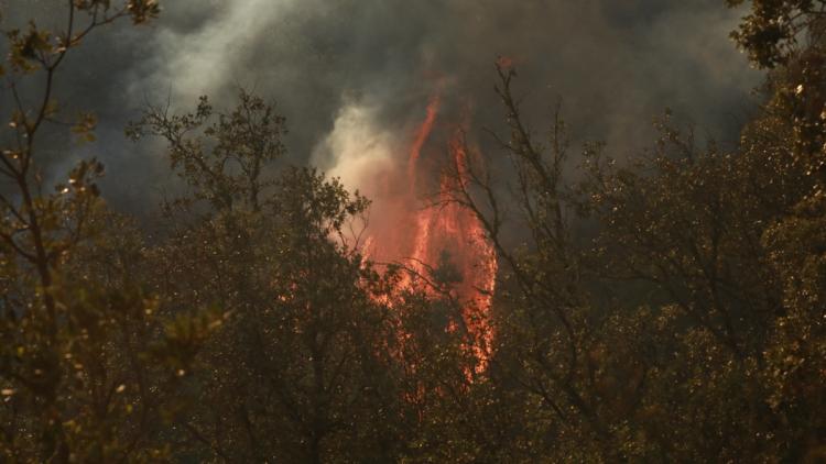 5a3aecb1-2d2a-40b4-b073-770ceea5736b Un homme jugé pour incendie volontaire à Ollioules