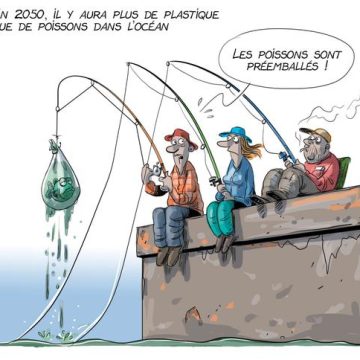 5a87ffaf-f6c0-4346-ba12-a2eea23d62e2 Des solutions innovantes pour lutter contre la pollution des plans d’eau