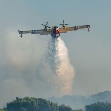 5cb37119-e38c-44d6-be27-65afa7012752 Incendies en France : des feux de forêt dévastateurs dans le sud