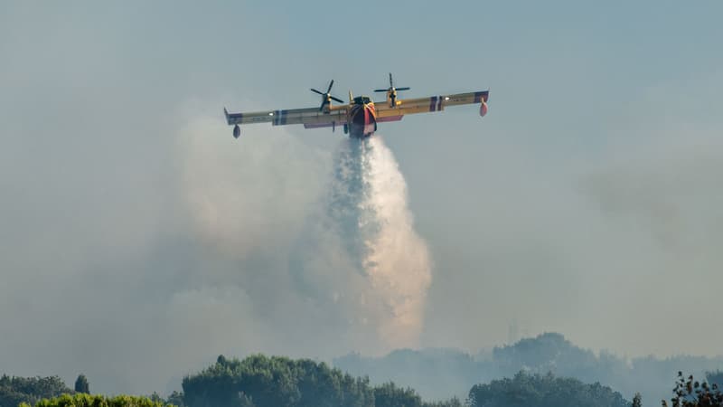5cb37119-e38c-44d6-be27-65afa7012752 Incendies en France : des feux de forêt dévastateurs dans le sud