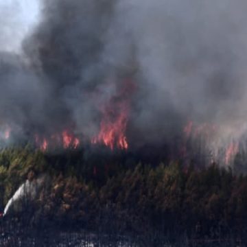 L&rsquo;incendie de Taradeau : Une origine criminelle privilégiée