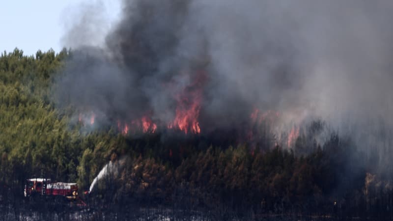 5f3966ce-62f8-44a7-a6d9-e706a3d82099 L’incendie de Taradeau : Une origine criminelle privilégiée