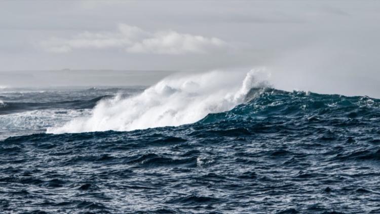 63e10f44-b7df-4c87-8721-fca27ff472a8 Survie en mer: un navigateur californien secouru après plus d’un mois à la dérive