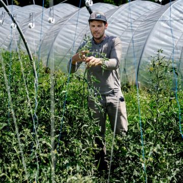 Les maraîchers bio face aux défis climatiques croissants