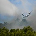 Incendies précoces dans le sud de la France: Préoccupation du gouvernement et appels à la vigilance