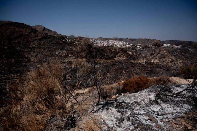 6a38d99a-845d-4ca0-8a1b-1877d2bd5404 Identification des victimes de l’incendie en Andalousie