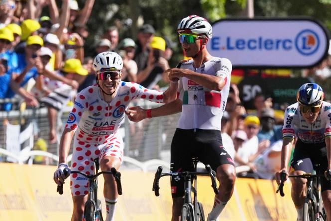 7490c115-7735-4953-9647-9f0640392ec5 Victoire au Tour de France 2026
