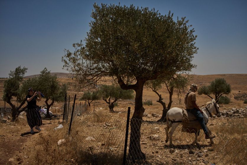 Palestinians West Bank Settlers Photo Essay Taybeh, un village chrétien menacé par les colonies israéliennes