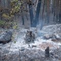 Incendies et canicule en France : la situation au 14 juillet 2026