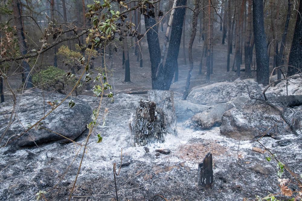 79b03989-6205-4bdf-bb60-75f9cb0491c0 Incendies et canicule en France : la situation au 14 juillet 2026